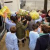 Raccolta nelle scuole 2017